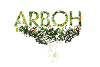 ARBOH, arboriste grimpeur